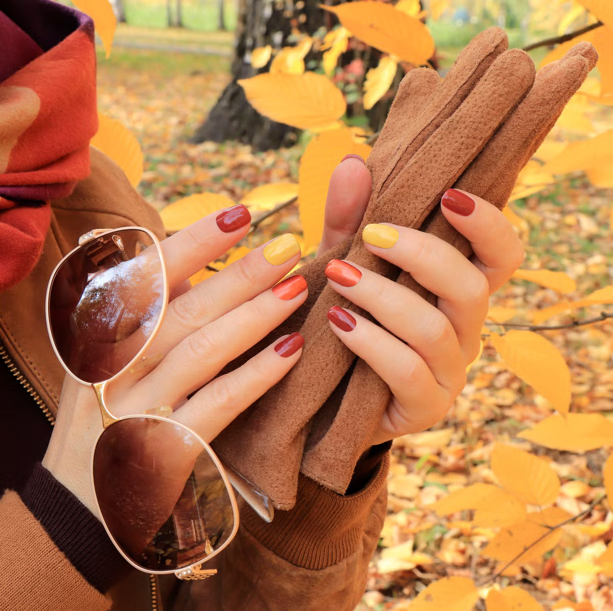 Fall Collections